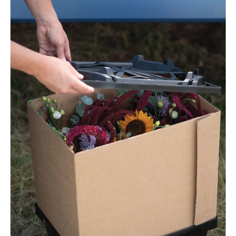 Valencia Lid - Image 4