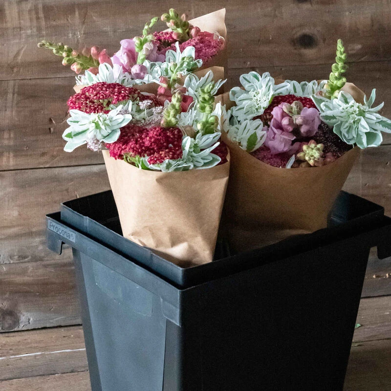 Florida Container – 25 Cm - Image 2