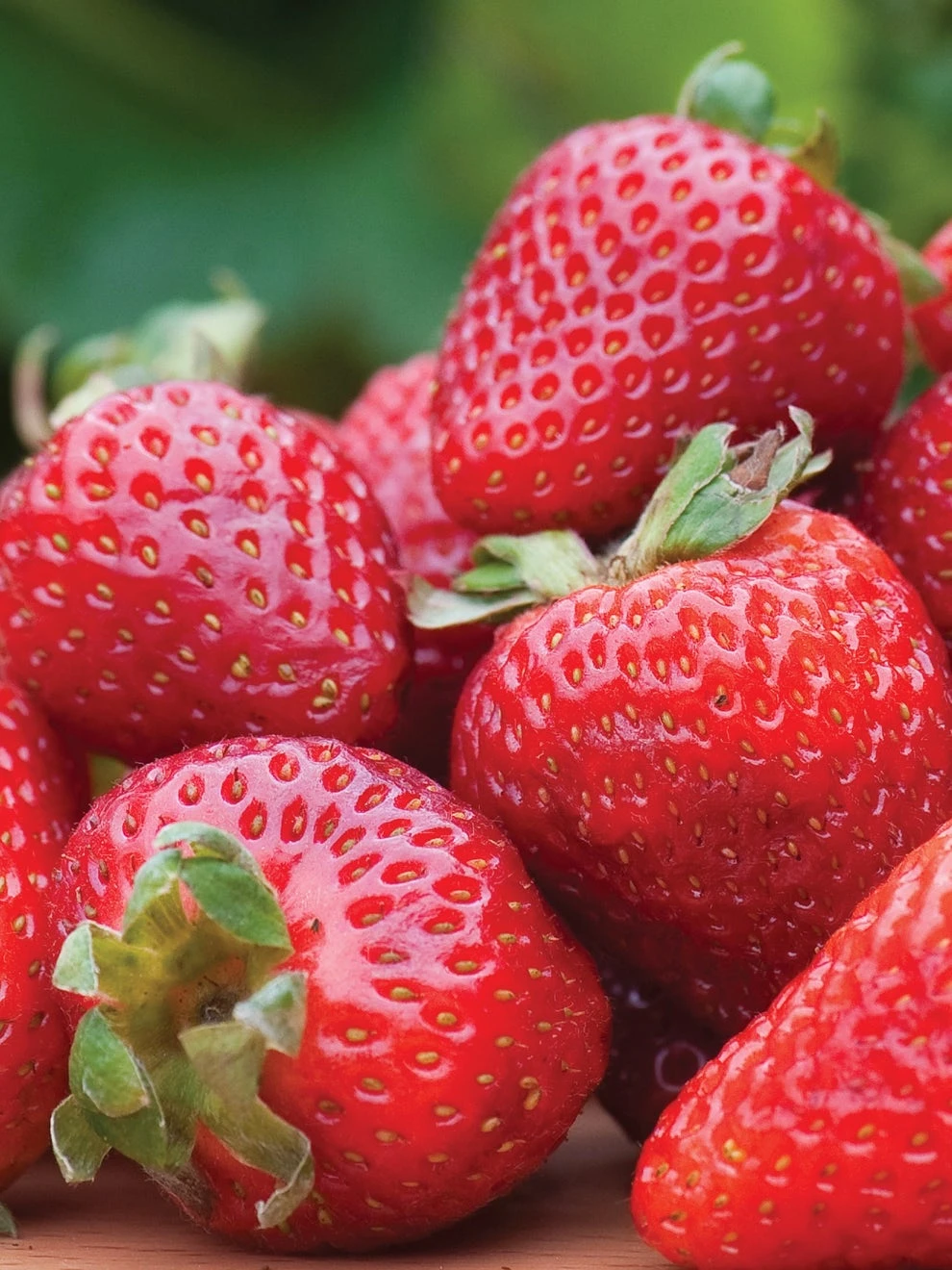 Strawberry, Seascape - Image 3
