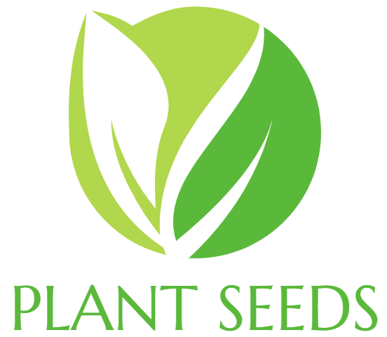 Outlet Plant Seeds Store