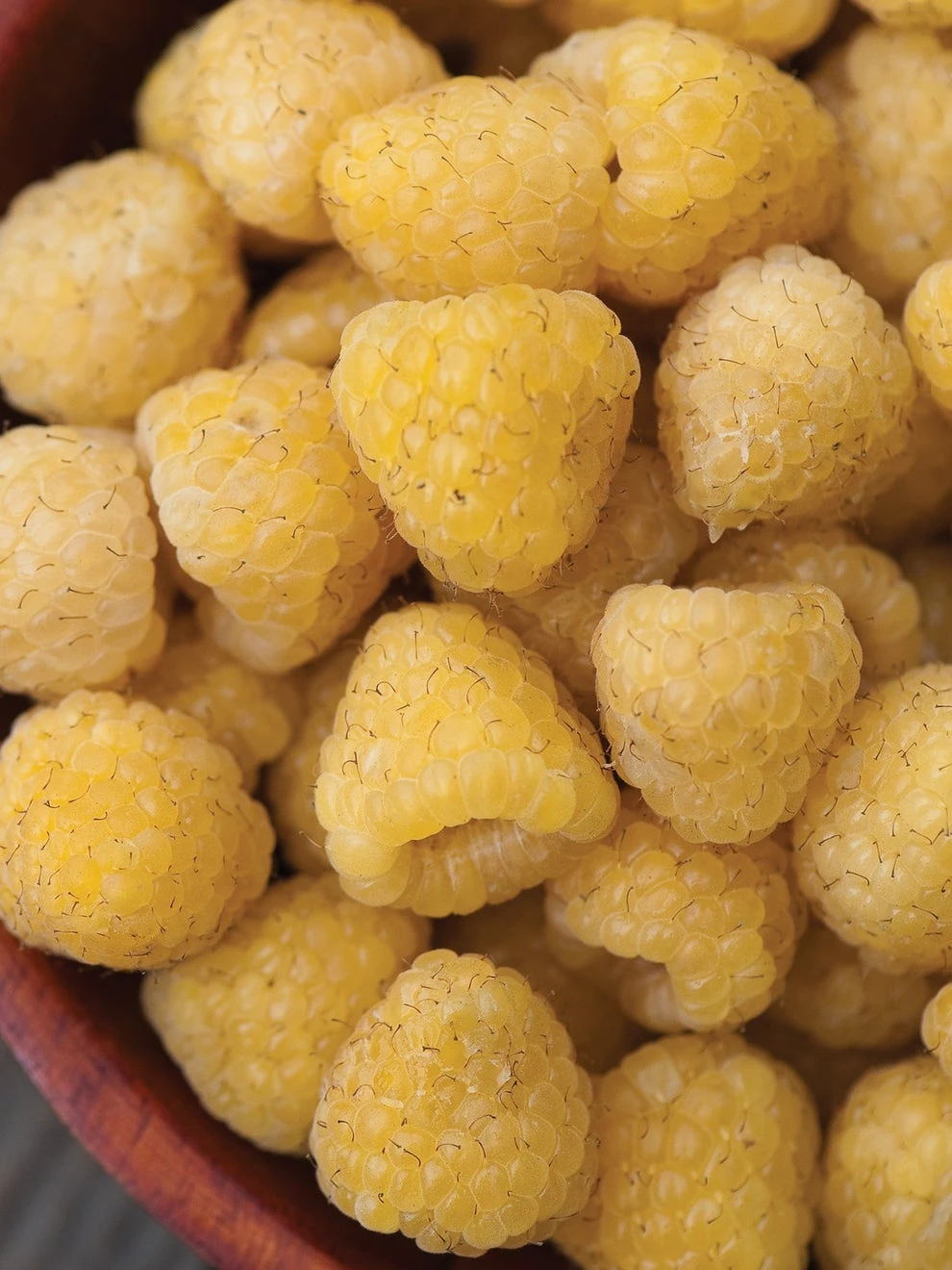 Raspberry, Anne - Image 2