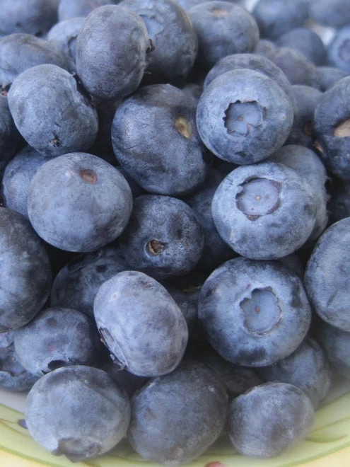 Blueberry, Jewel - Image 3